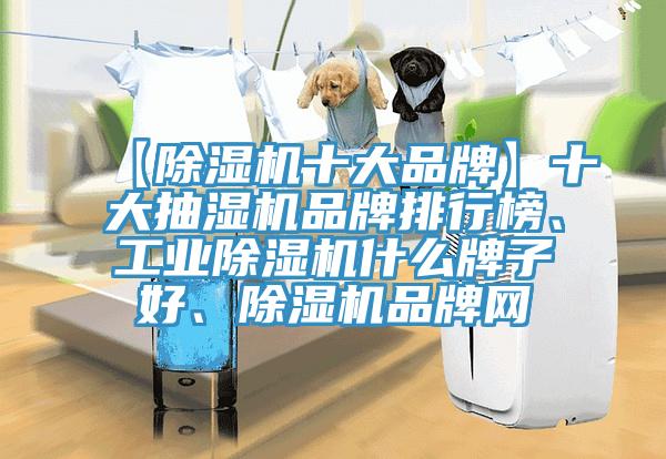 【除濕機十大品牌】十大抽濕機品牌排行榜、工業(yè)除濕機什么牌子好、除濕機品牌網