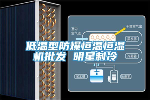 低溫型防爆恒溫恒濕機(jī)批發(fā) 明星制冷