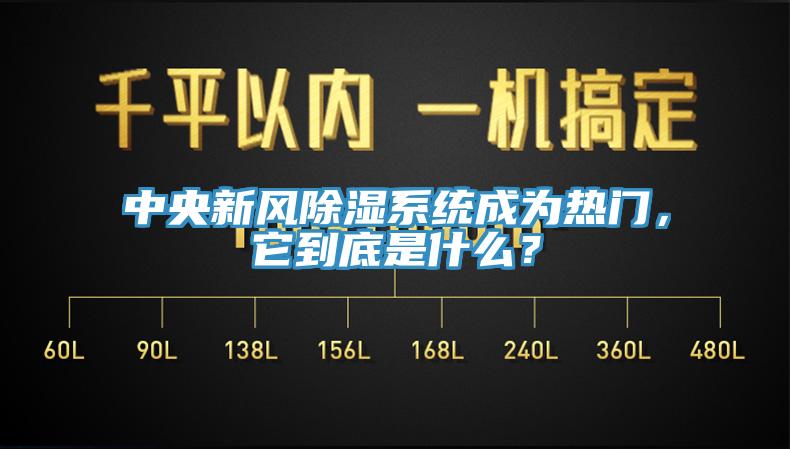 中央新風(fēng)除濕系統(tǒng)成為熱門(mén)，它到底是什么？