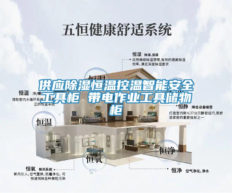 供應(yīng)除濕恒溫控溫智能安全工具柜 帶電作業(yè)工具儲物柜