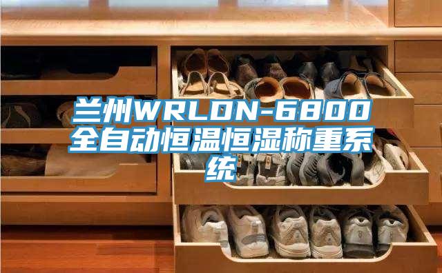 蘭州WRLDN-6800全自動恒溫恒濕稱重系統(tǒng)