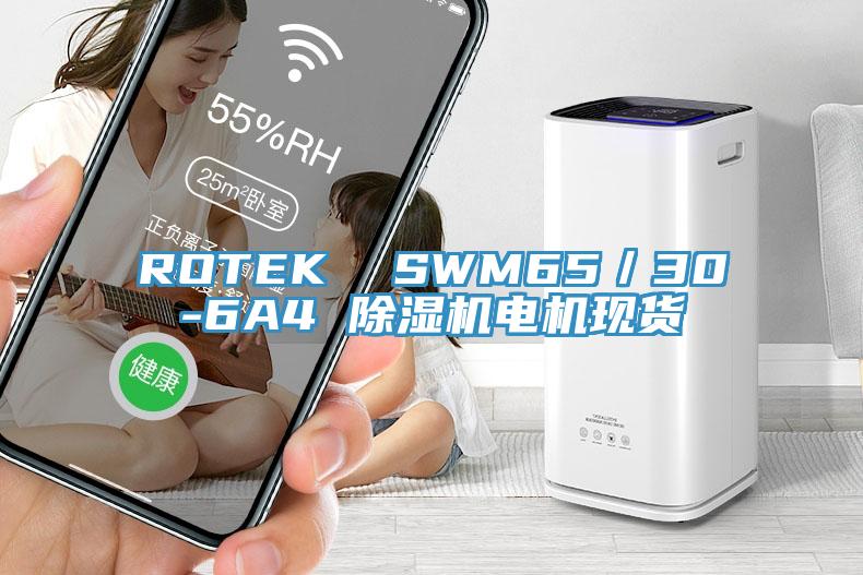 ROTEK  SWM65／30-6A4 除濕機(jī)電機(jī)現(xiàn)貨