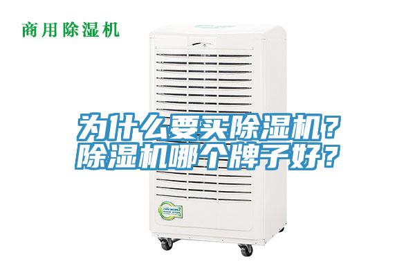 為什么要買除濕機(jī)？除濕機(jī)哪個牌子好？