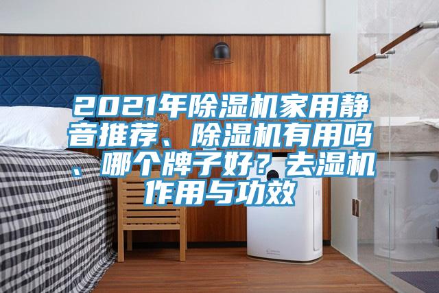 2021年除濕機(jī)家用靜音推薦、除濕機(jī)有用嗎、哪個(gè)牌子好？去濕機(jī)作用與功效