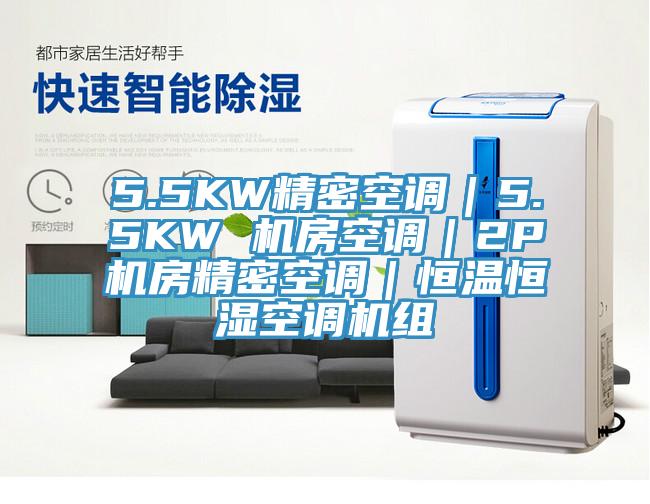 5.5KW精密空調(diào)｜5.5KW 機房空調(diào)｜2P機房精密空調(diào)｜恒溫恒濕空調(diào)機組