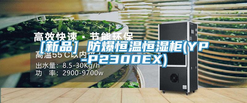 [新品] 防爆恒溫恒濕柜(YP-P2300EX)