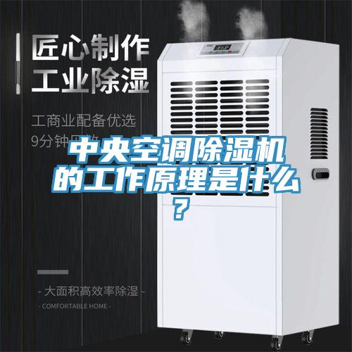 中央空調(diào)除濕機(jī)的工作原理是什么？