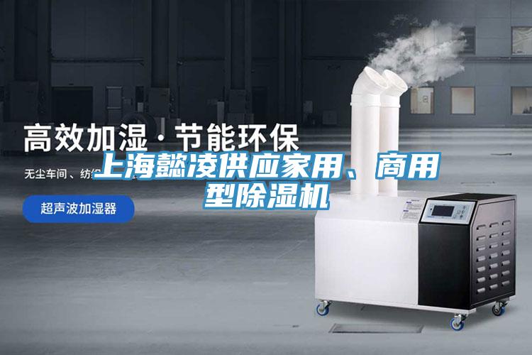 上海懿凌供應(yīng)家用、商用型除濕機