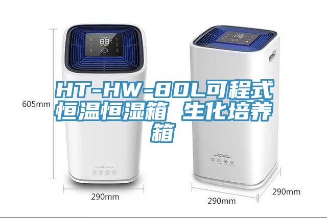 HT-HW-80L可程式恒溫恒濕箱 生化培養(yǎng)箱