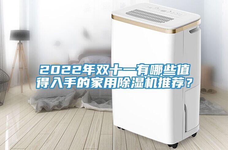 2022年雙十一有哪些值得入手的家用除濕機推薦？