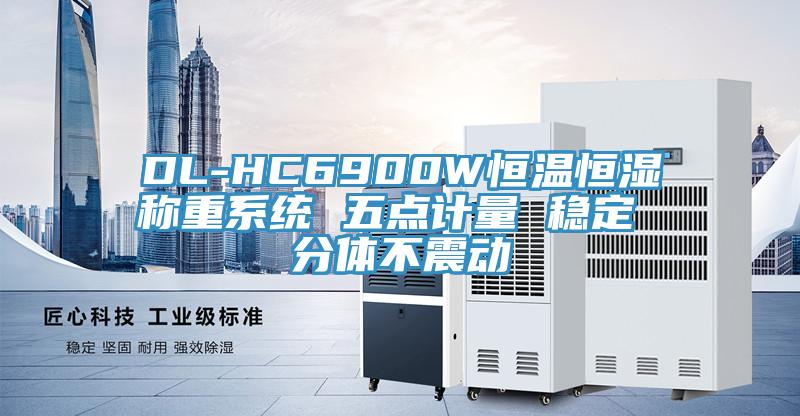 DL-HC6900W恒溫恒濕稱重系統(tǒng) 五點計量 穩(wěn)定 分體不震動