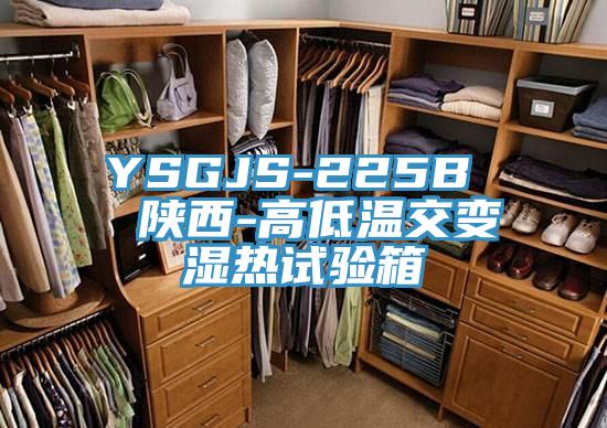 YSGJS-225B  陜西-高低溫交變濕熱試驗(yàn)箱