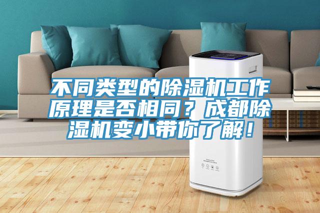 不同類型的除濕機工作原理是否相同？成都除濕機變小帶你了解！