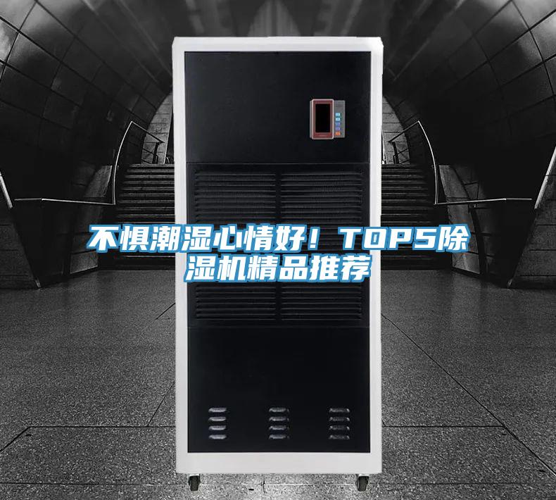 不懼潮濕心情好！TOP5除濕機精品推薦