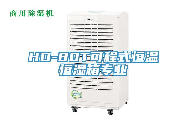 HD-80T可程式恒溫恒濕箱專業(yè)