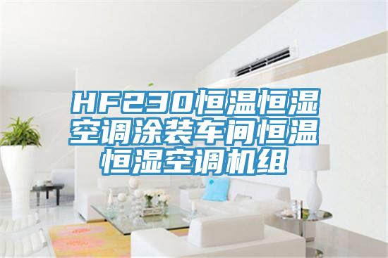 HF230恒溫恒濕空調(diào)涂裝車間恒溫恒濕空調(diào)機(jī)組