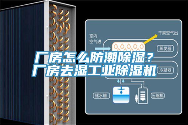 廠房怎么防潮除濕？廠房去濕工業(yè)除濕機