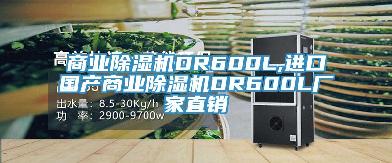 商業(yè)除濕機DR600L,進口國產商業(yè)除濕機DR600L廠家直銷