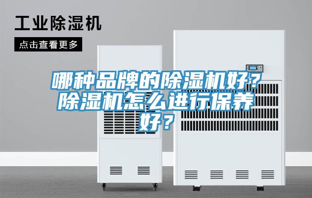 哪種品牌的除濕機好？除濕機怎么進行保養(yǎng)好？