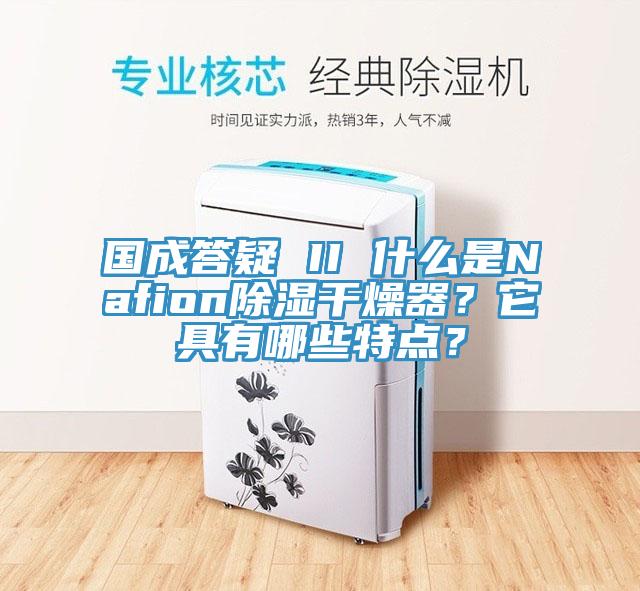 國成答疑 II 什么是Nafion除濕干燥器？它具有哪些特點？