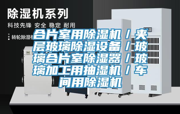 合片室用除濕機／夾層玻璃除濕設(shè)備／玻璃合片室除濕器／玻璃加工用抽濕機／車間用除濕機