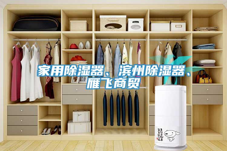 家用除濕器、濱州除濕器、雁飛商貿(mào)