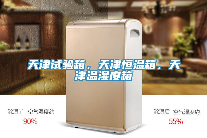 天津試驗(yàn)箱，天津恒溫箱，天津溫濕度箱