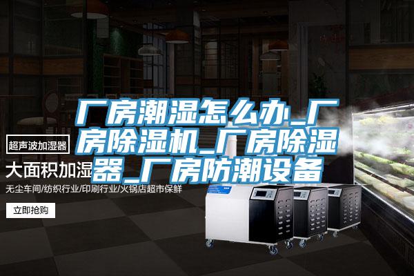 廠房潮濕怎么辦_廠房除濕機_廠房除濕器_廠房防潮設備