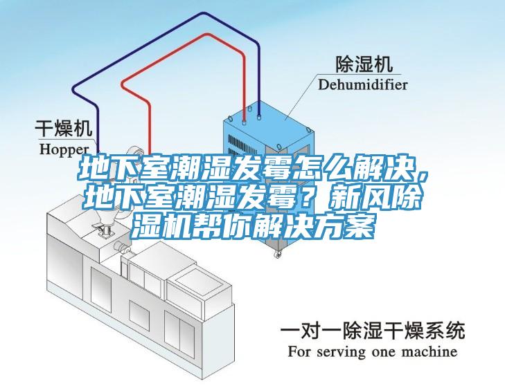 地下室潮濕發(fā)霉怎么解決，地下室潮濕發(fā)霉？新風(fēng)除濕機(jī)幫你解決方案