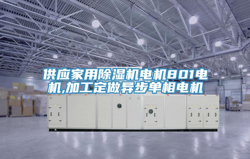 供應(yīng)家用除濕機(jī)電機(jī)801電機(jī),加工定做異步單相電機(jī)