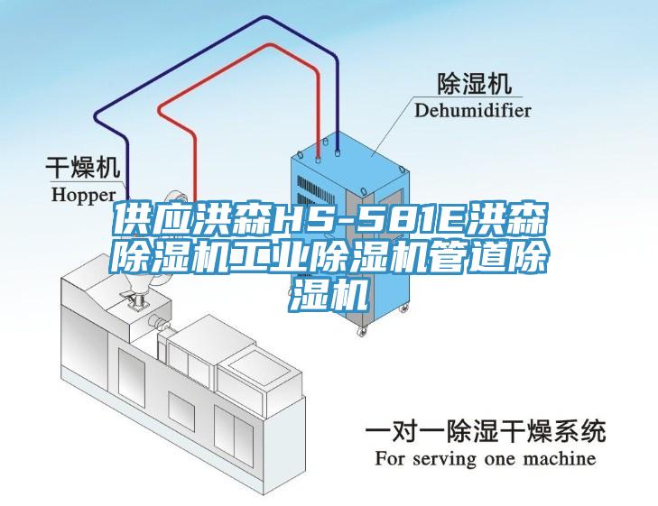 供應(yīng)洪森HS-581E洪森除濕機(jī)工業(yè)除濕機(jī)管道除濕機(jī)