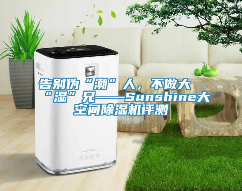 告別偽“潮”人，不做大“濕”兄——Sunshine大空間除濕機(jī)評測