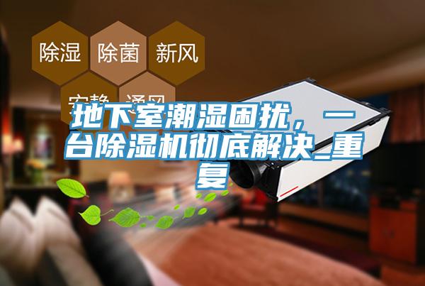 地下室潮濕困擾，一臺(tái)除濕機(jī)徹底解決_重復(fù)