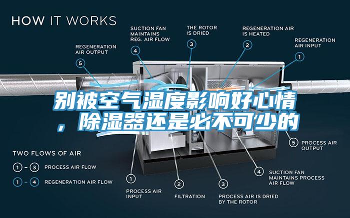 別被空氣濕度影響好心情，除濕器還是必不可少的