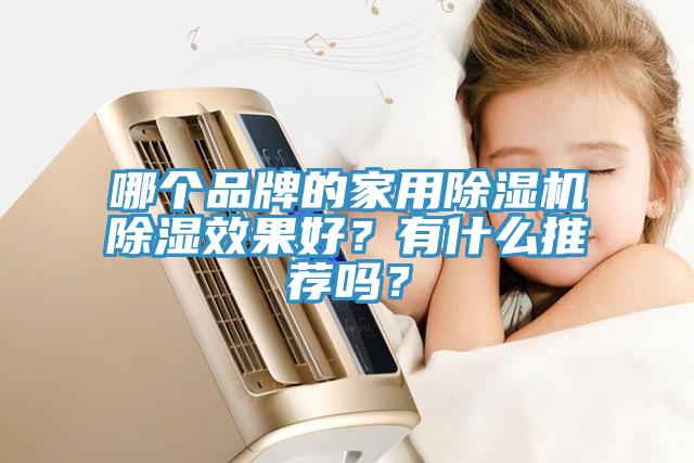 哪個品牌的家用除濕機(jī)除濕效果好？有什么推薦嗎？