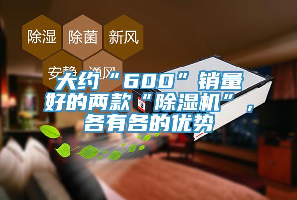 大約“600”銷量好的兩款“除濕機(jī)”，各有各的優(yōu)勢(shì)