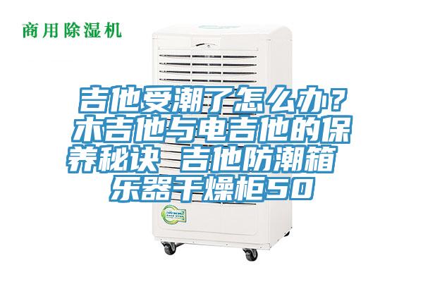 吉他受潮了怎么辦？木吉他與電吉他的保養(yǎng)秘訣 吉他防潮箱 樂(lè)器干燥柜50