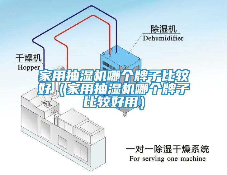 家用抽濕機(jī)哪個(gè)牌子比較好（家用抽濕機(jī)哪個(gè)牌子比較好用）