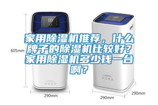 家用除濕機(jī)推薦，什么牌子的除濕機(jī)比較好？家用除濕機(jī)多少錢一臺(tái)??？