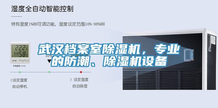 武漢檔案室除濕機，專業(yè)的防潮、除濕機設備