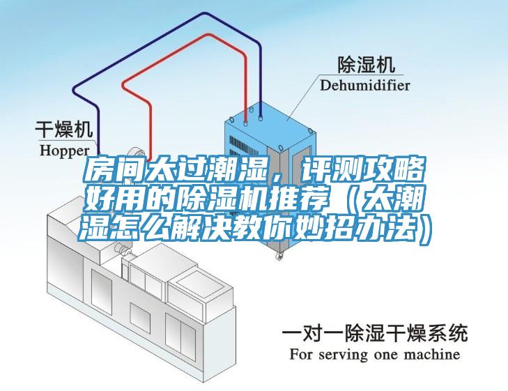 房間太過潮濕，評測攻略好用的除濕機推薦（太潮濕怎么解決教你妙招辦法）