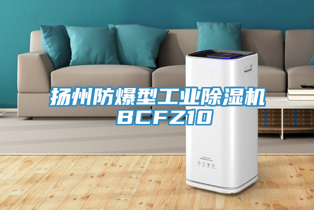 揚(yáng)州防爆型工業(yè)除濕機(jī) BCFZ10