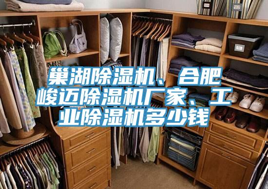 巢湖除濕機、合肥峻邁除濕機廠家、工業(yè)除濕機多少錢