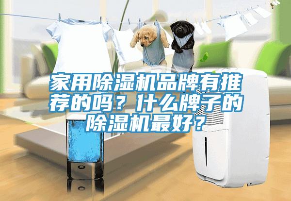 家用除濕機品牌有推薦的嗎？什么牌子的除濕機最好？