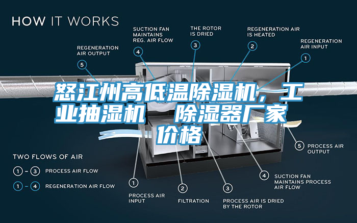 怒江州高低溫除濕機(jī)，工業(yè)抽濕機(jī)  除濕器廠家 價格