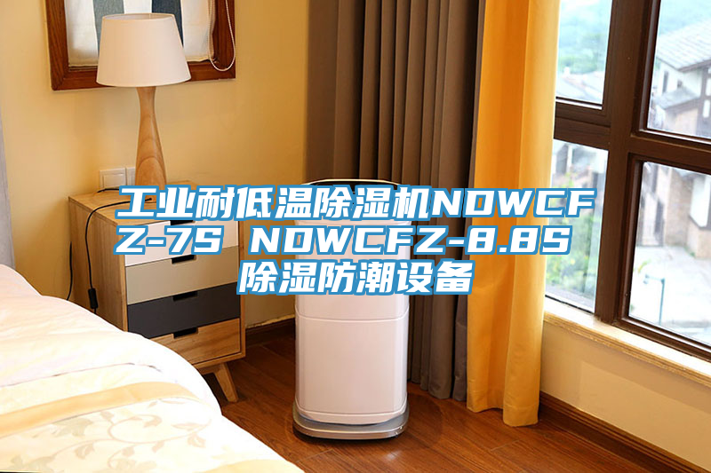 工業(yè)耐低溫除濕機(jī)NDWCFZ-7S NDWCFZ-8.8S 除濕防潮設(shè)備