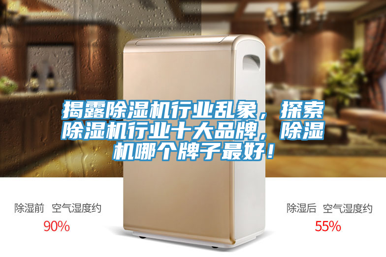 揭露除濕機行業(yè)亂象，探索除濕機行業(yè)十大品牌，除濕機哪個牌子最好！