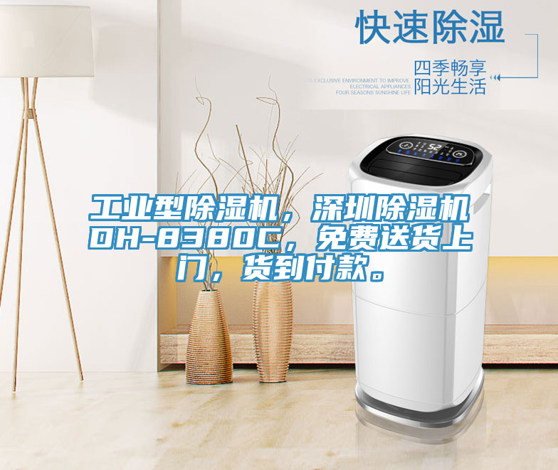 工業(yè)型除濕機(jī)，深圳除濕機(jī)DH-8380C，免費(fèi)送貨上門，貨到付款。