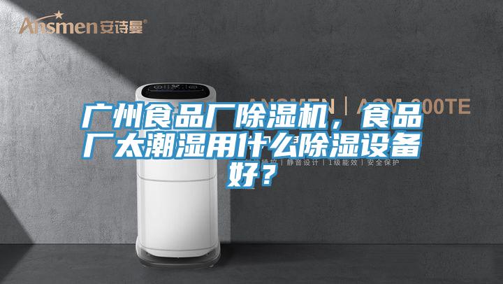 廣州食品廠除濕機(jī)，食品廠太潮濕用什么除濕設(shè)備好？