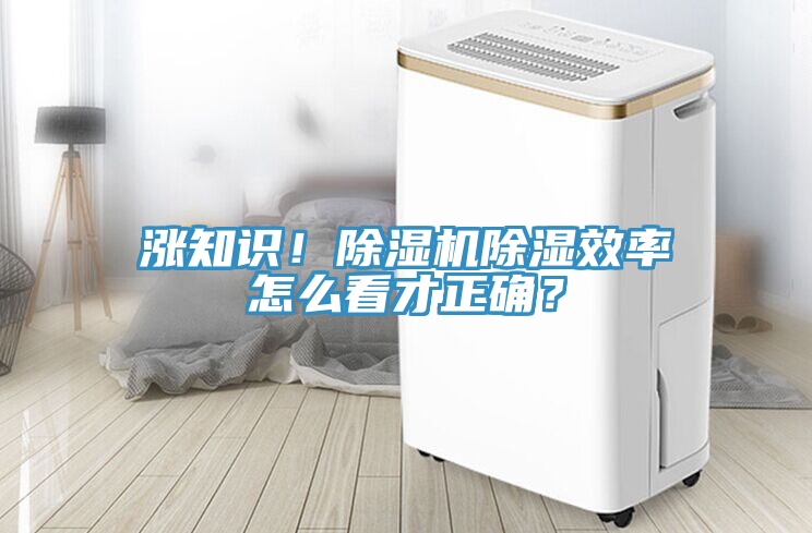 漲知識！除濕機除濕效率怎么看才正確？